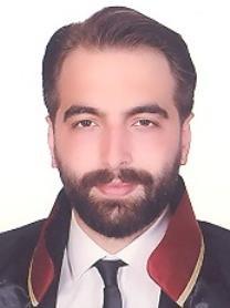 Ali Berkin Denizaslanı