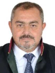 Süreyya Işın