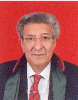 Ahmet Taner Ergin